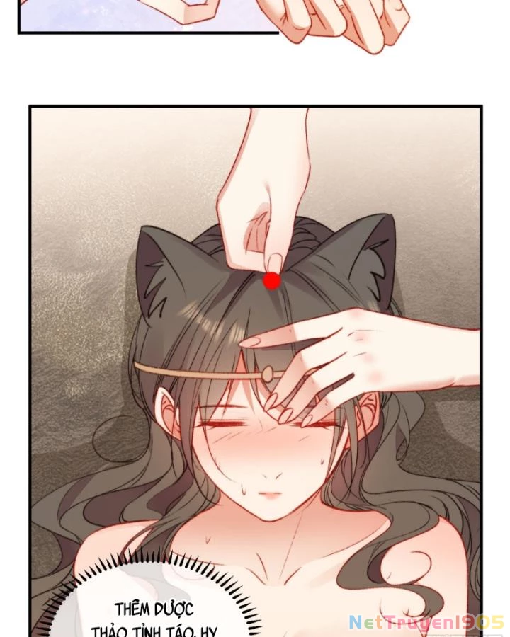 Thú Thế Ngọt Sủng, Tôi Ở Dị Giới Làm Vũ Thần Chapter 20 - 40