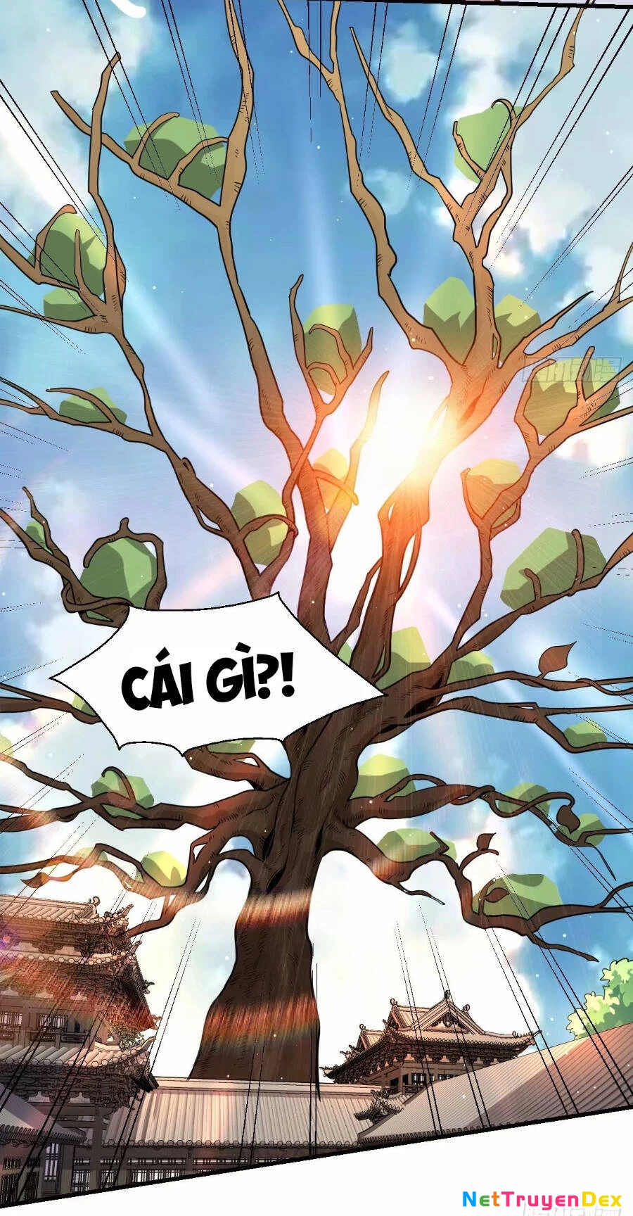 Nguyên Lai Ta Là Tu Tiên Đại Lão Chapter 230 - 9