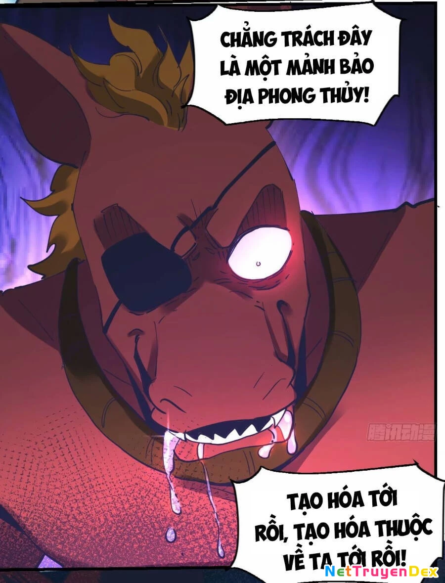 Nguyên Lai Ta Là Tu Tiên Đại Lão Chapter 230 - 13