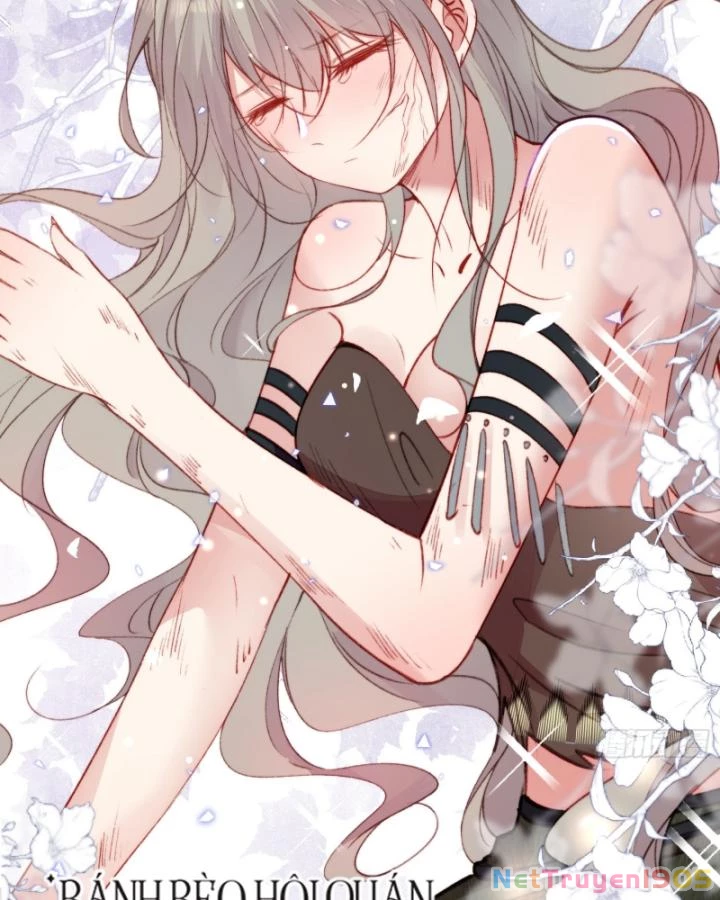 Thú Thế Ngọt Sủng, Tôi Ở Dị Giới Làm Vũ Thần Chapter 21 - 51