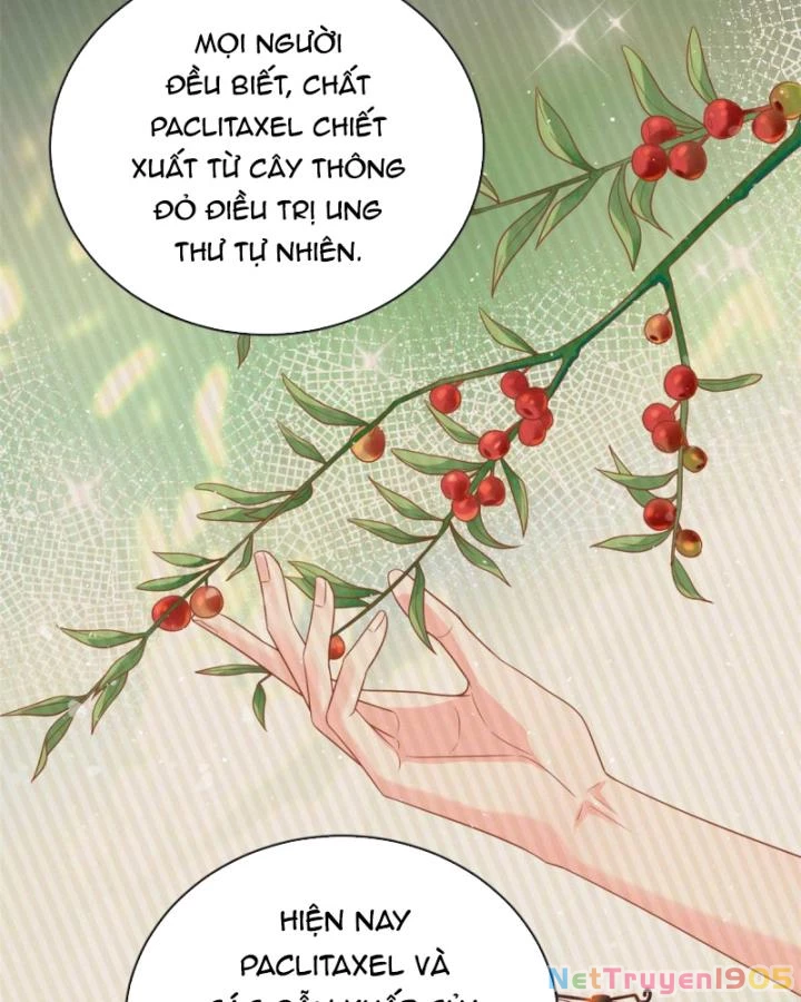 Bé Rồng Đột Kích! Mami Vừa Cay Vừa Độc Chapter 21 - 18