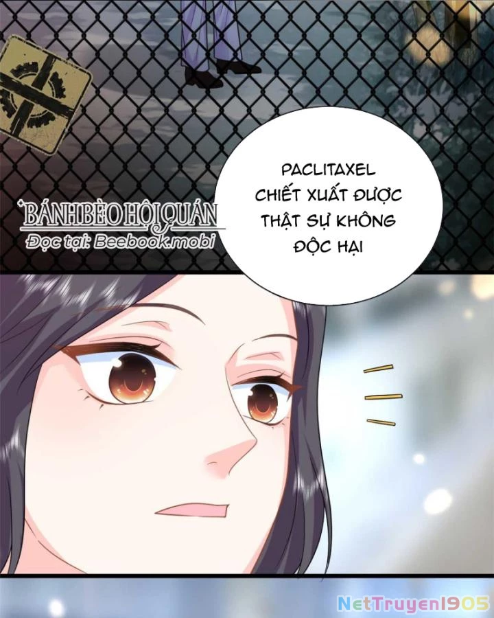 Bé Rồng Đột Kích! Mami Vừa Cay Vừa Độc Chapter 21 - 70