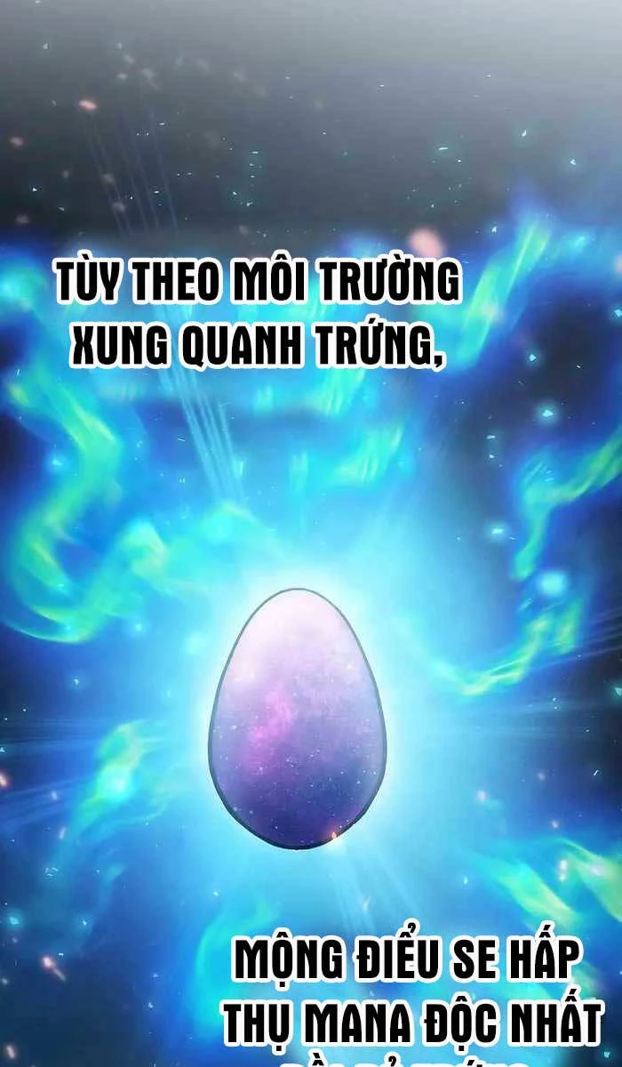 Kiếm Sĩ Thiên Tài Của Học Viện Chapter 11 - 33