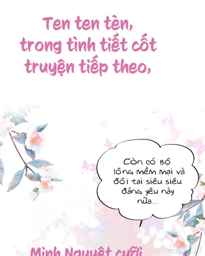 Thú Thế Ngọt Sủng, Tôi Ở Dị Giới Làm Vũ Thần Chapter 22 - 68