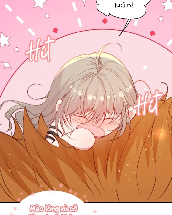 Thú Thế Ngọt Sủng, Tôi Ở Dị Giới Làm Vũ Thần Chapter 24 - 22