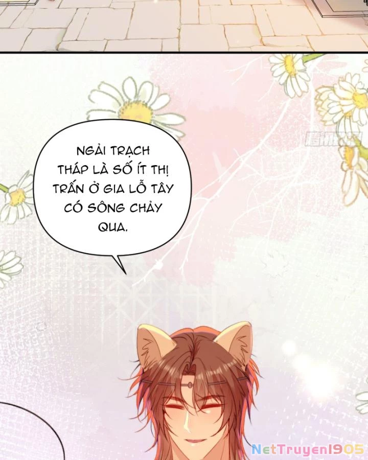 Thú Thế Ngọt Sủng, Tôi Ở Dị Giới Làm Vũ Thần Chapter 24 - 36