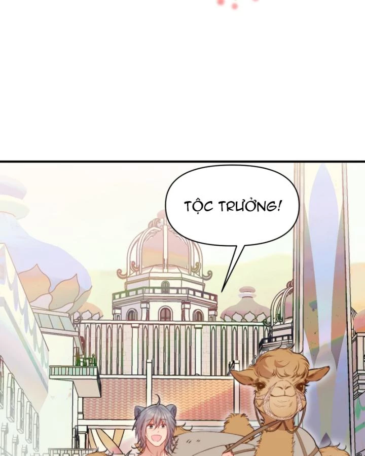 Thú Thế Ngọt Sủng, Tôi Ở Dị Giới Làm Vũ Thần Chapter 25 - 29