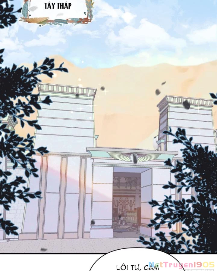 Thú Thế Ngọt Sủng, Tôi Ở Dị Giới Làm Vũ Thần Chapter 25 - 38