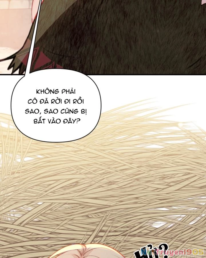 Thú Thế Ngọt Sủng, Tôi Ở Dị Giới Làm Vũ Thần Chapter 26 - 45