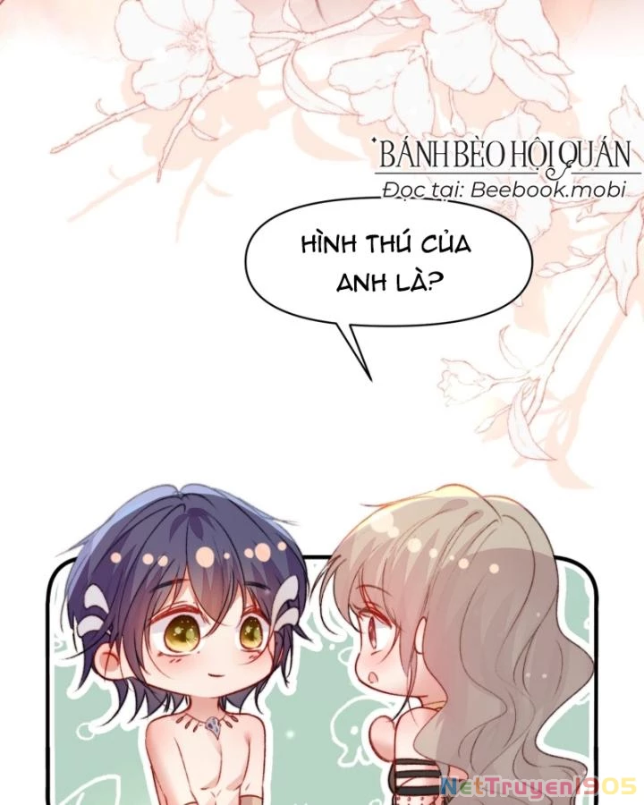 Thú Thế Ngọt Sủng, Tôi Ở Dị Giới Làm Vũ Thần Chapter 26 - 55