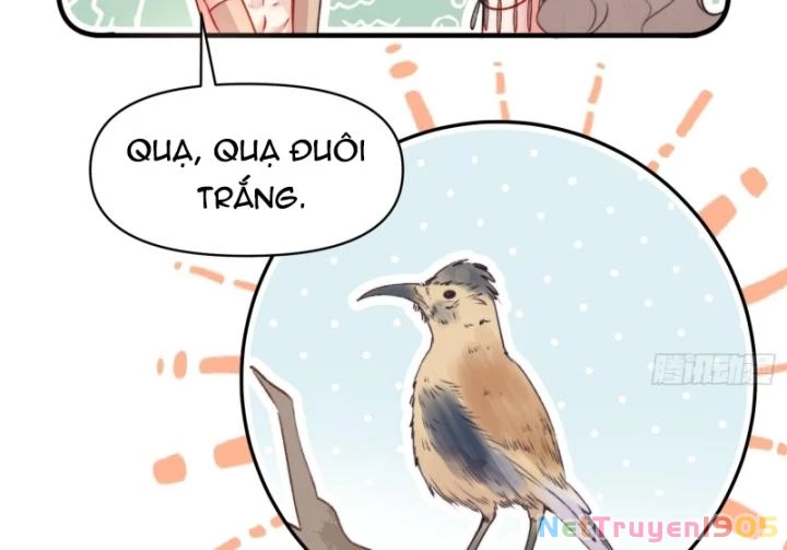 Thú Thế Ngọt Sủng, Tôi Ở Dị Giới Làm Vũ Thần Chapter 26 - 56