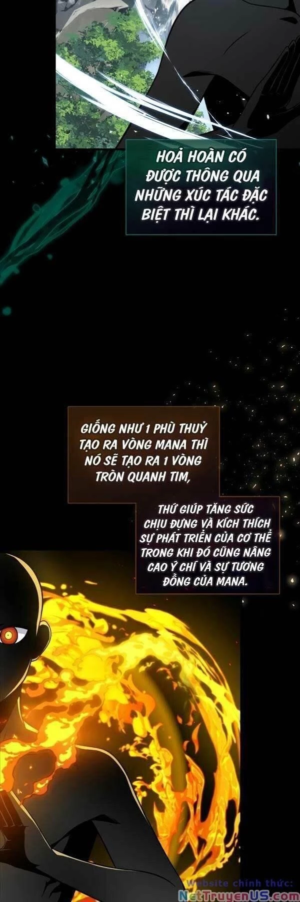 Sát Thủ Tái Sinh Thành Một Kiếm Sĩ Thiên Tài Chapter 2 - 10