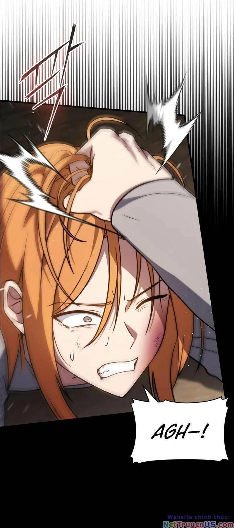 Sát Thủ Tái Sinh Thành Một Kiếm Sĩ Thiên Tài Chapter 10 - 41
