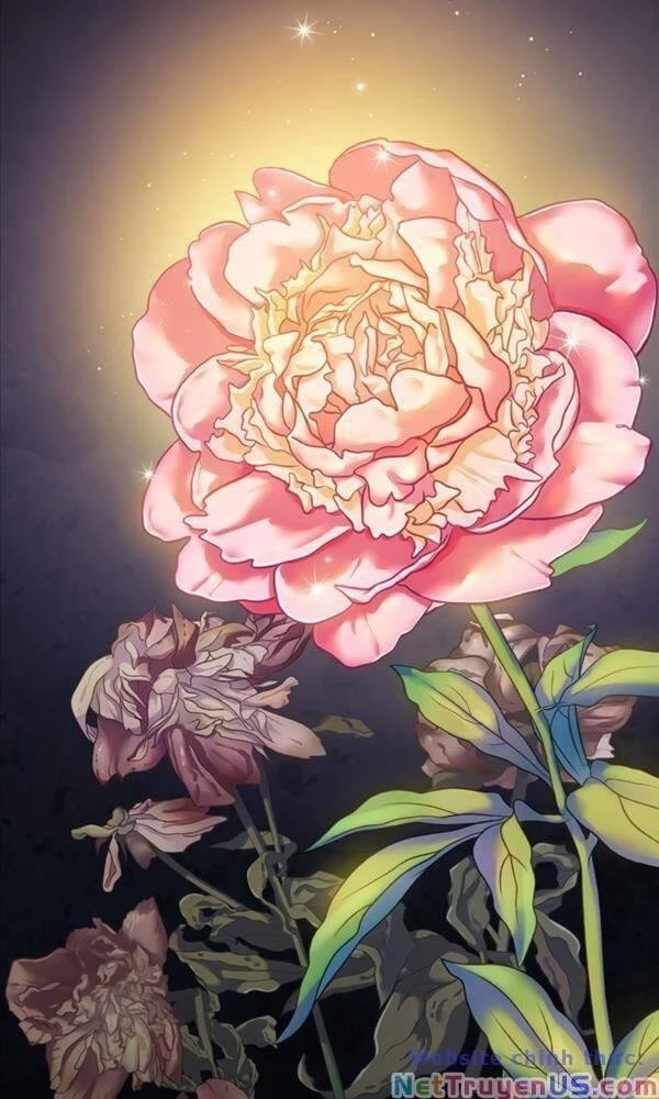 Sát Thủ Tái Sinh Thành Một Kiếm Sĩ Thiên Tài Chapter 18 - 95