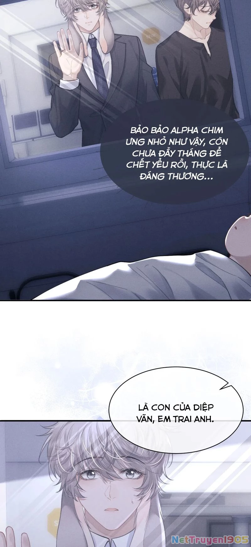 Chấp Sự Thỏ Cụp Tai Chapter 65 - 19