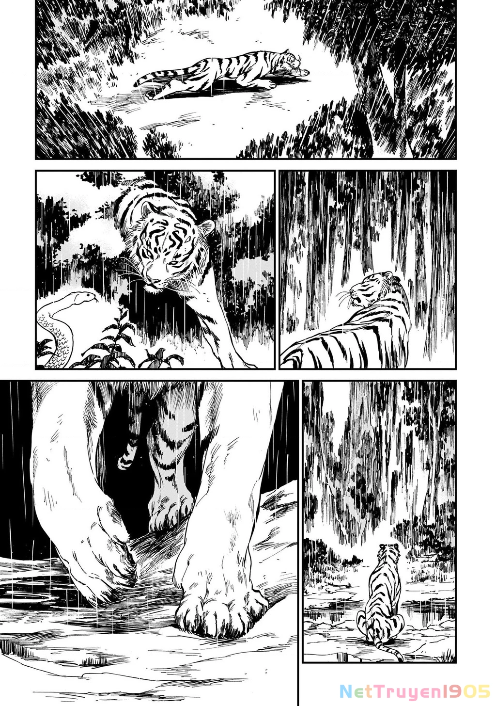 Hổ Vẫn Chưa Muốn Xơi Rồng Chapter 4 - 16