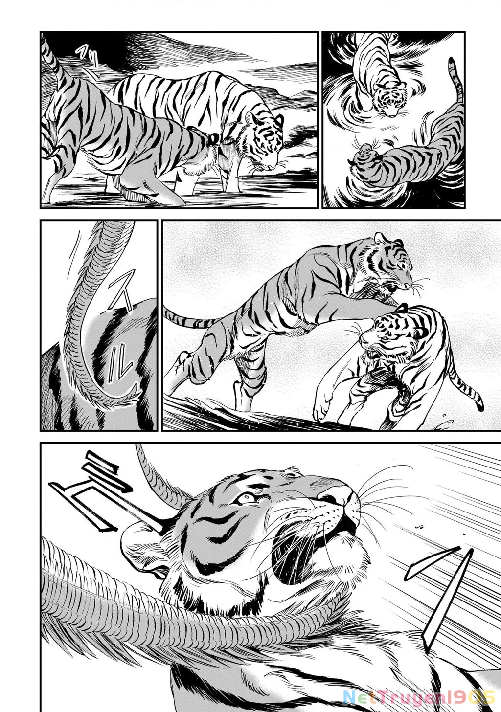 Hổ Vẫn Chưa Muốn Xơi Rồng Chapter 5 - 6