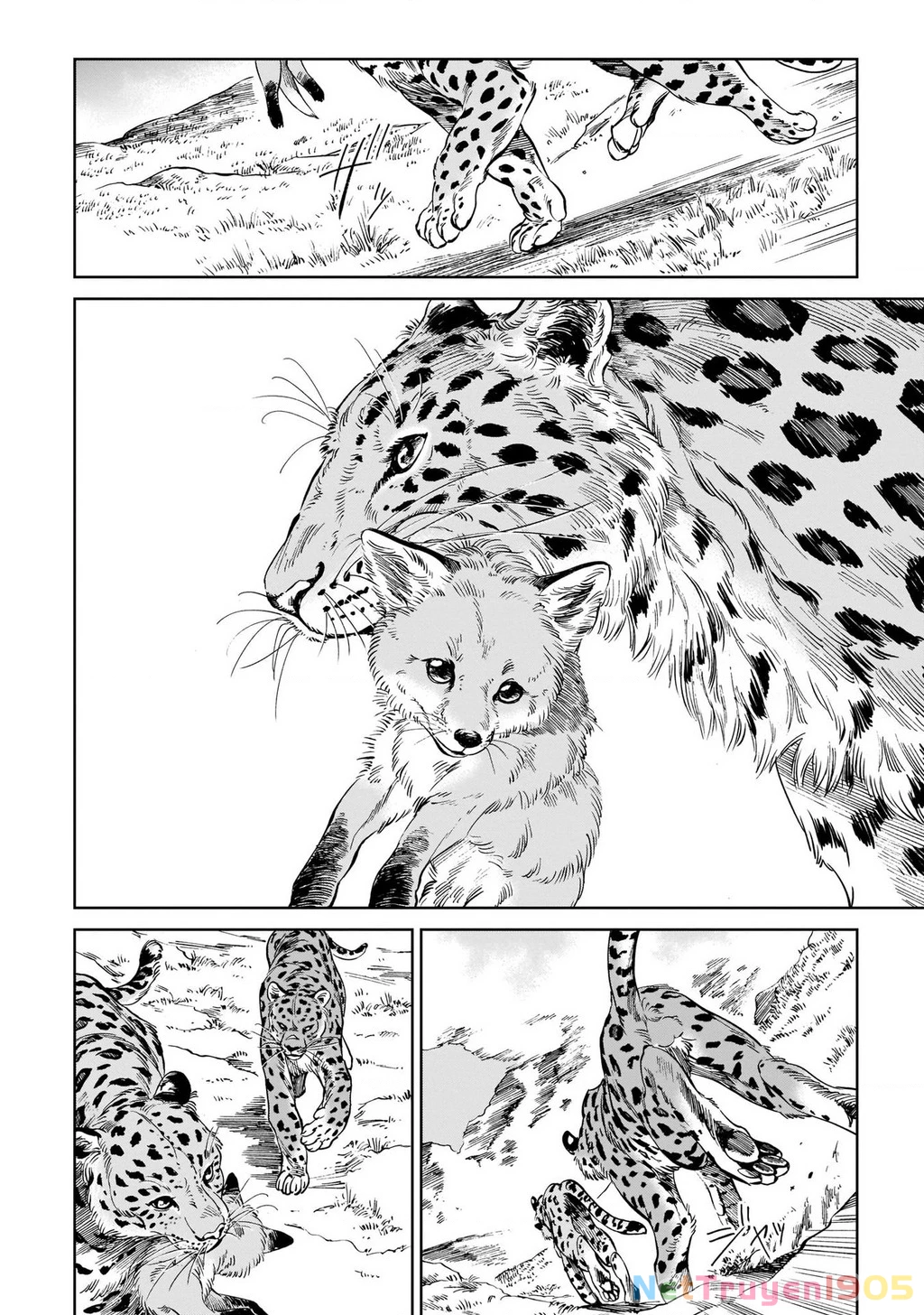 Hổ Vẫn Chưa Muốn Xơi Rồng Chapter 9 - 3