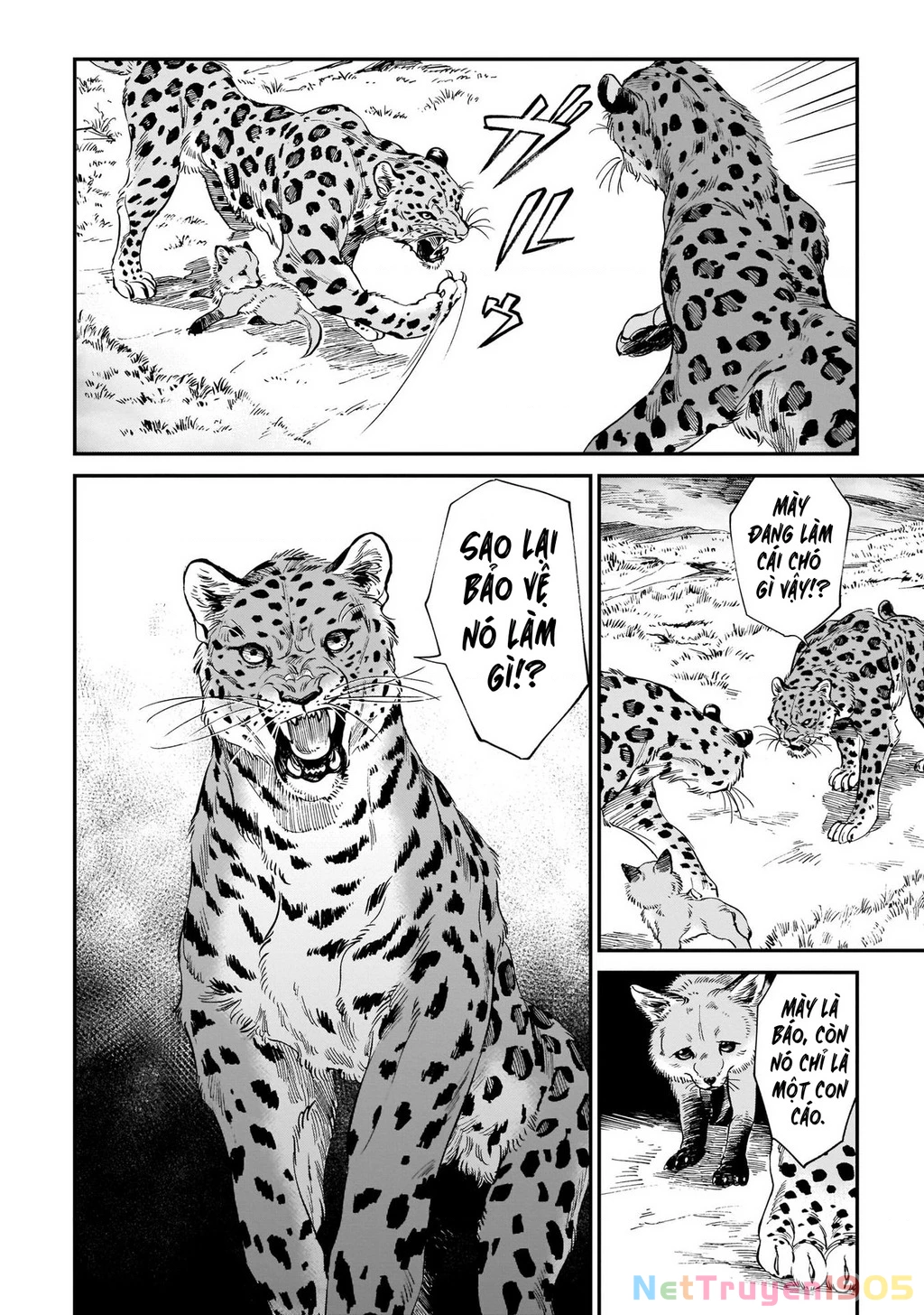 Hổ Vẫn Chưa Muốn Xơi Rồng Chapter 9 - 5