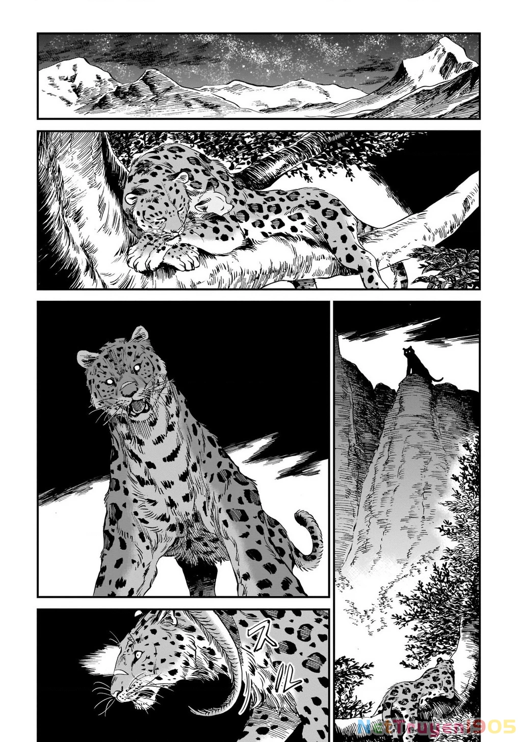 Hổ Vẫn Chưa Muốn Xơi Rồng Chapter 9 - 18