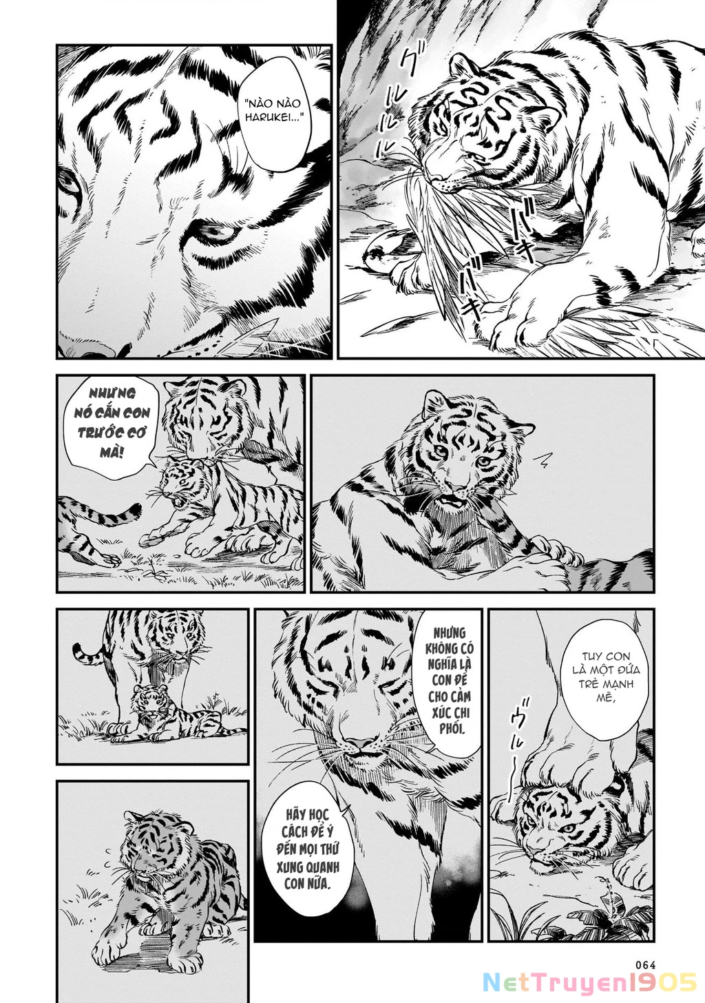 Hổ Vẫn Chưa Muốn Xơi Rồng Chapter 10 - 17