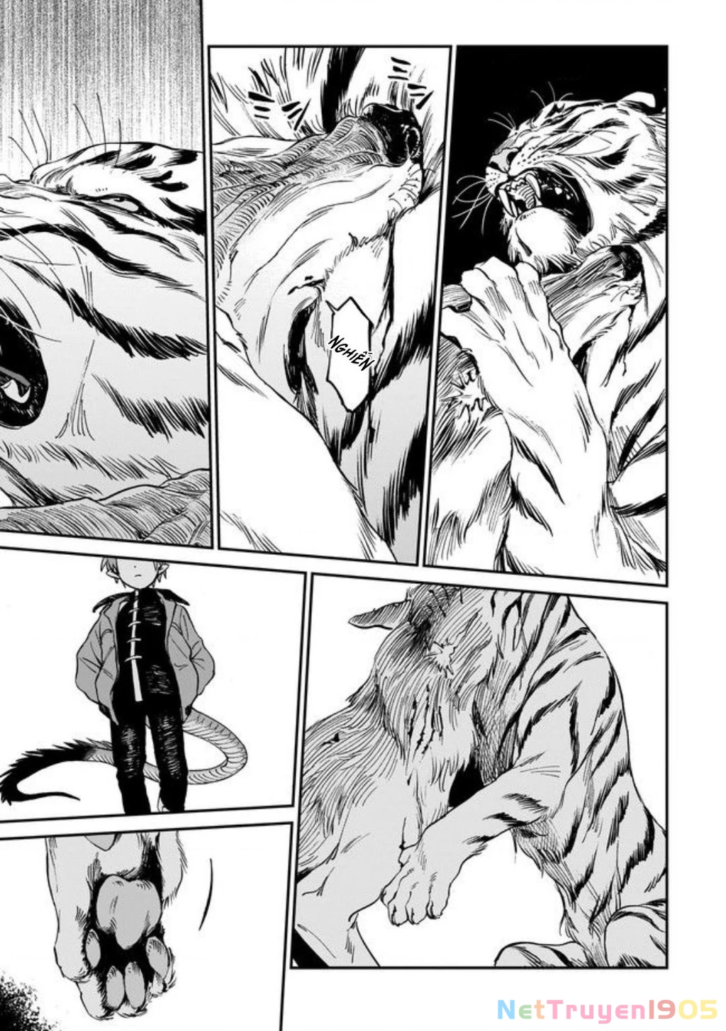 Hổ Vẫn Chưa Muốn Xơi Rồng Chapter 1 - 28