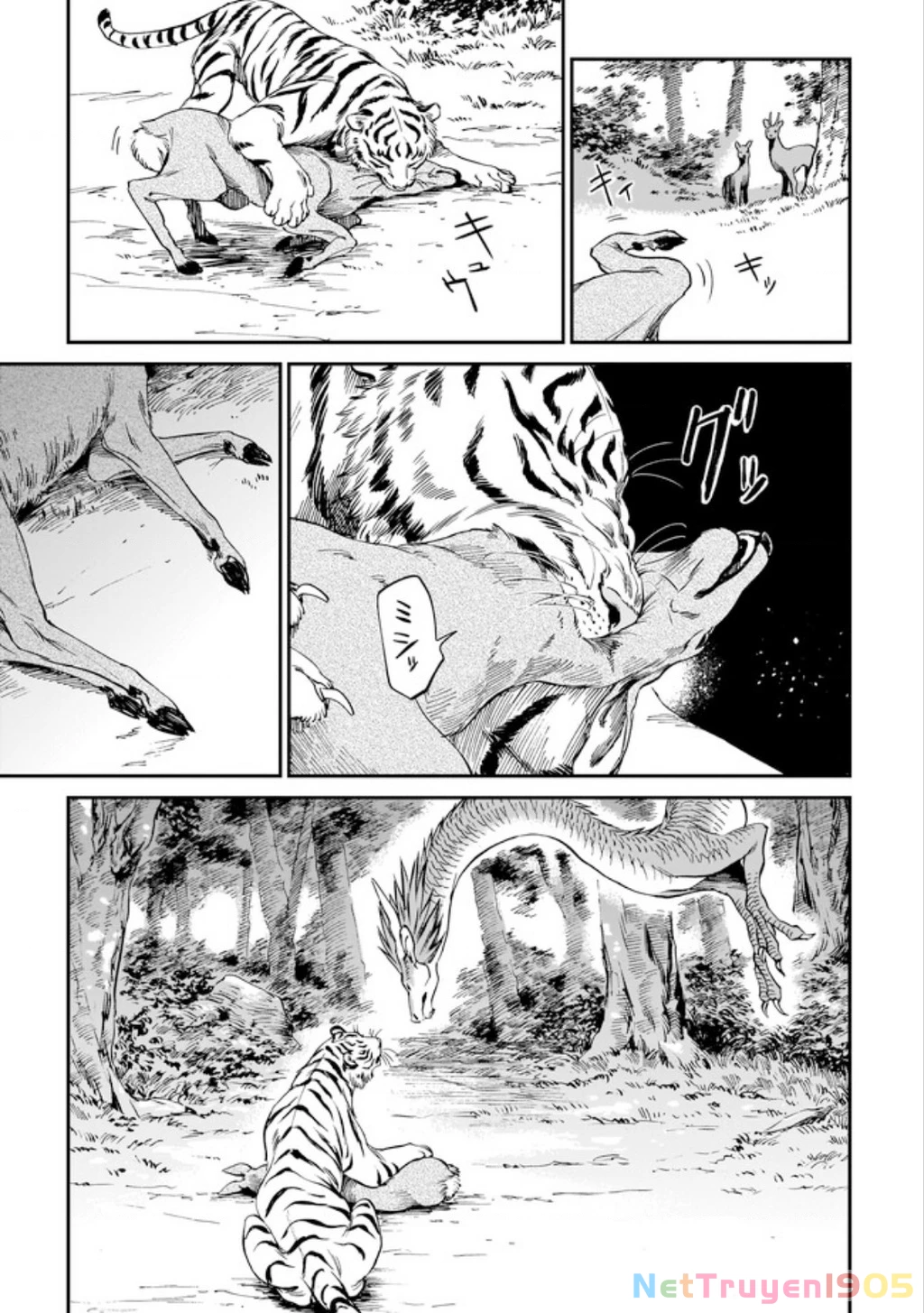 Hổ Vẫn Chưa Muốn Xơi Rồng Chapter 3 - 6