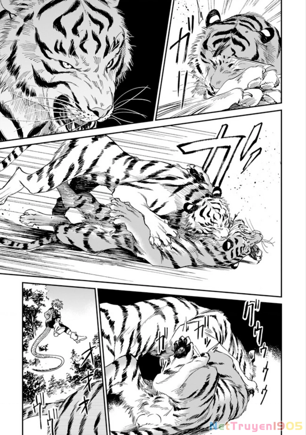 Hổ Vẫn Chưa Muốn Xơi Rồng Chapter 3 - 13