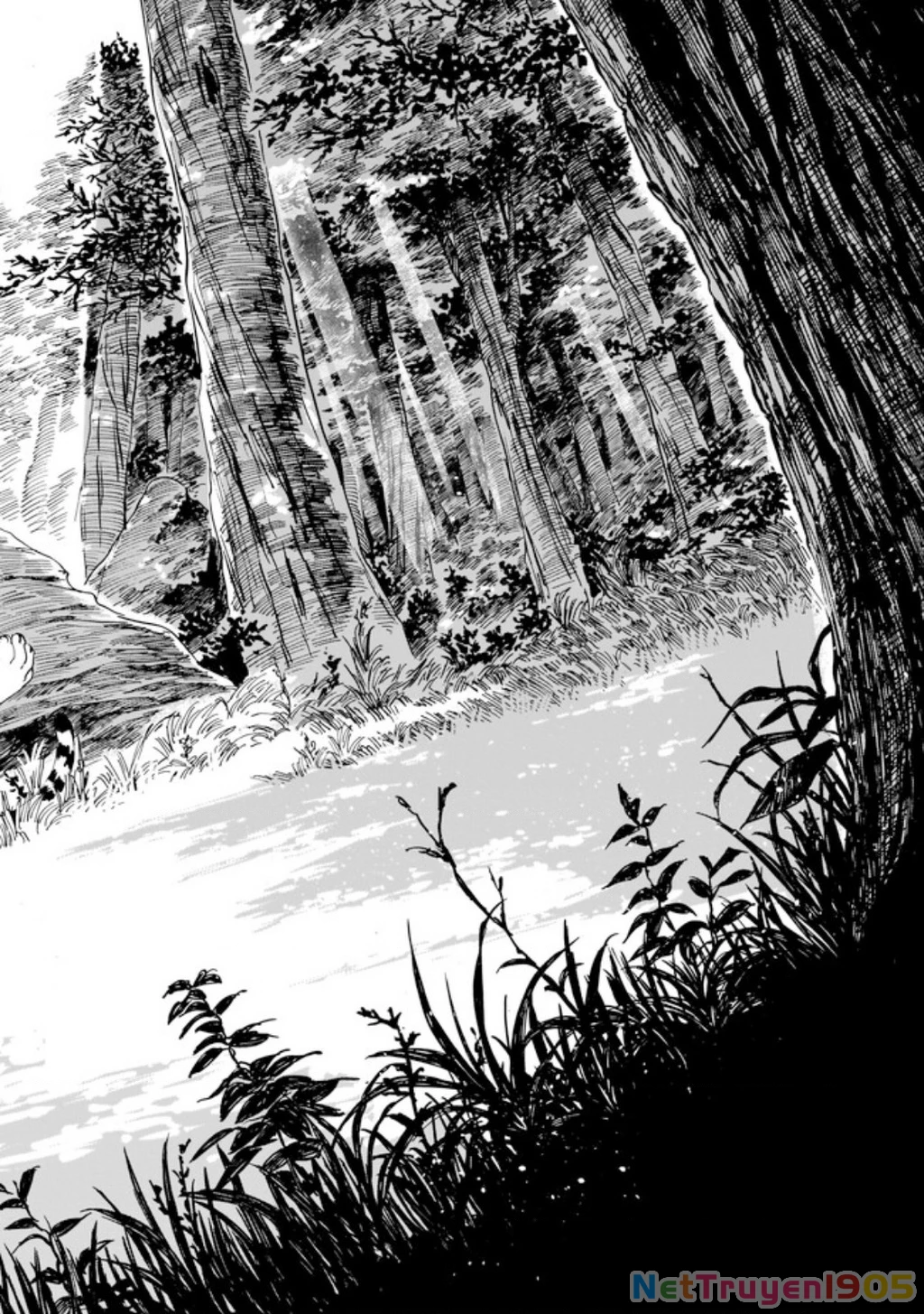 Hổ Vẫn Chưa Muốn Xơi Rồng Chapter 3 - 26