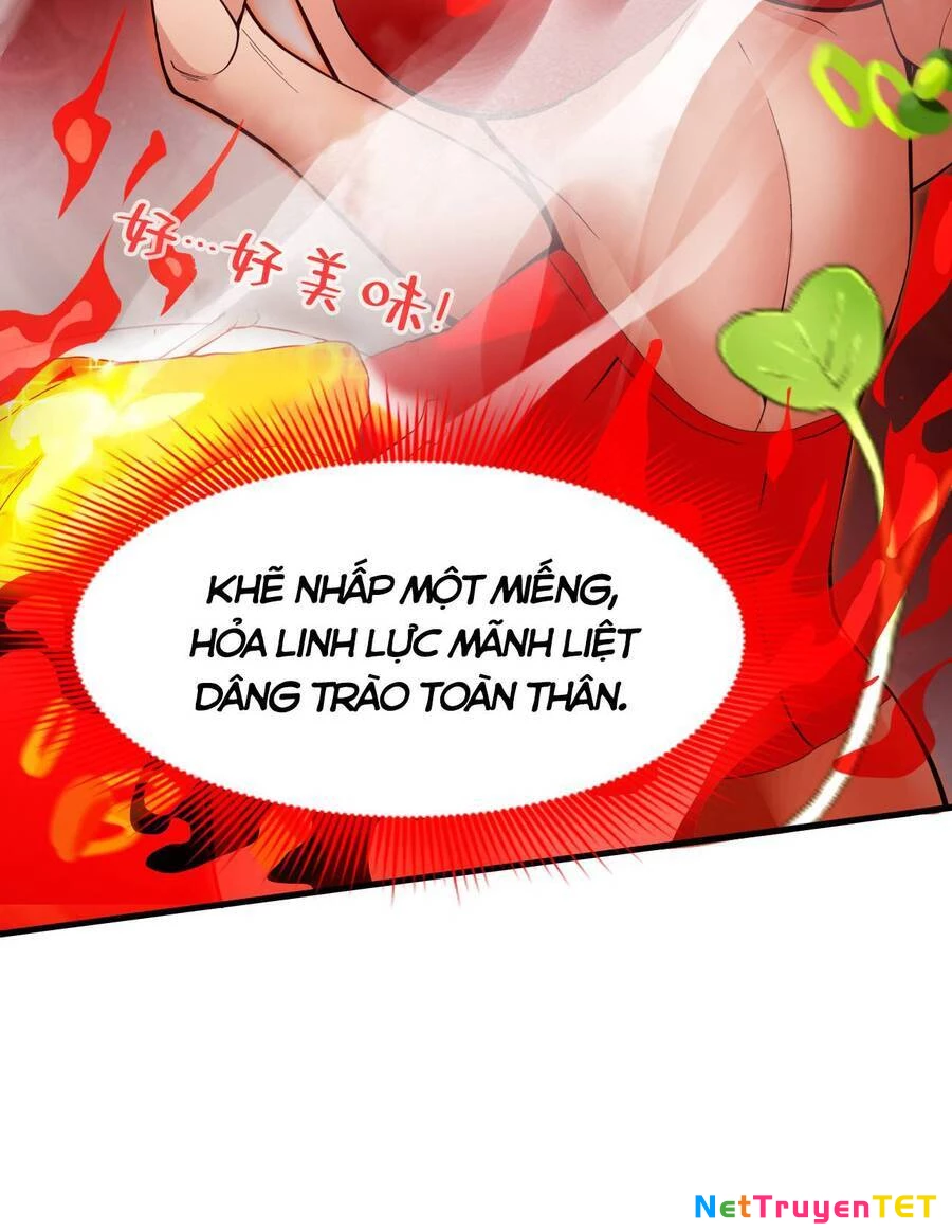 Ẩn Cư Mười Vạn Năm Chapter 4 - 16