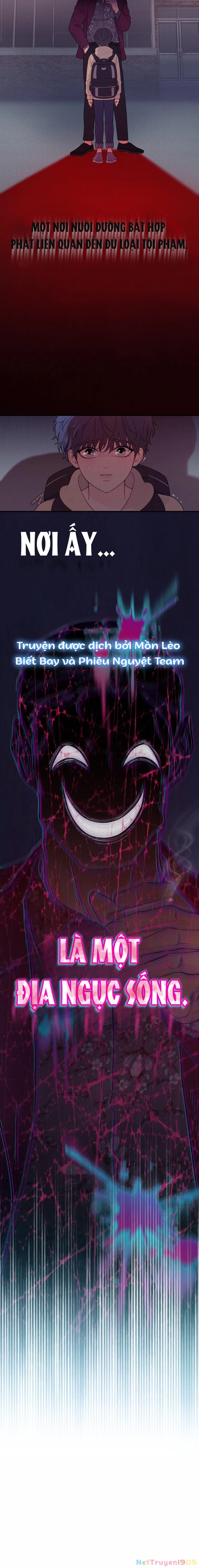 Cô Gái Cứu Tinh Được Yêu Mến Chapter 5 - 12