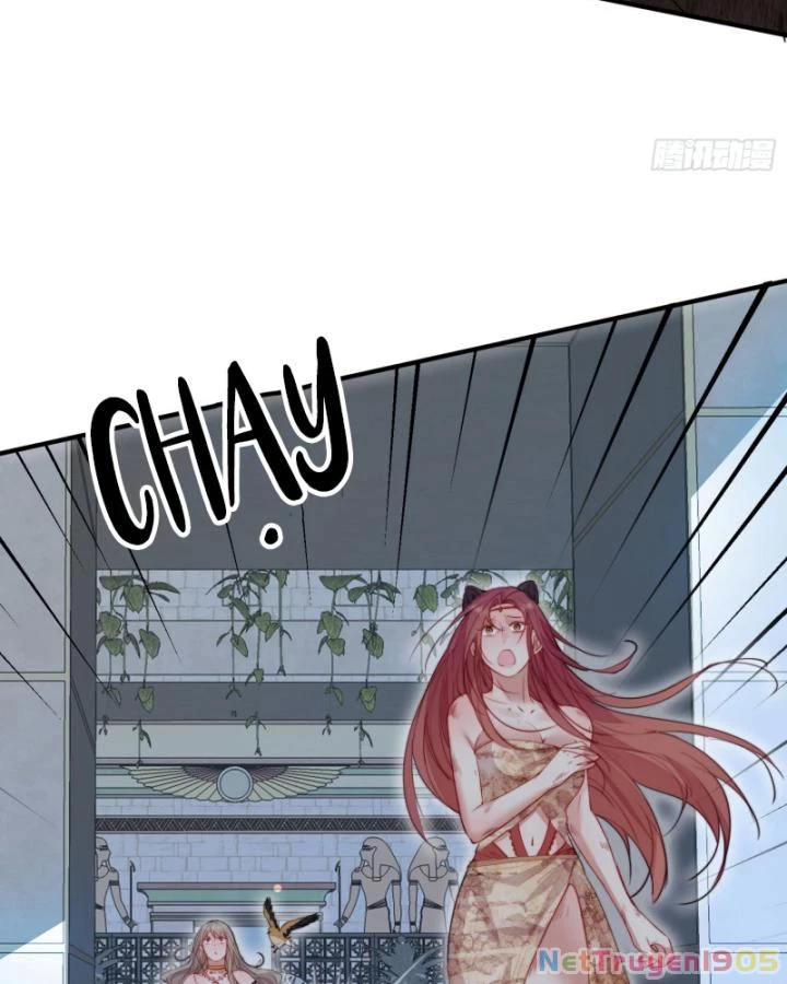 Thú Thế Ngọt Sủng, Tôi Ở Dị Giới Làm Vũ Thần Chapter 28 - 13