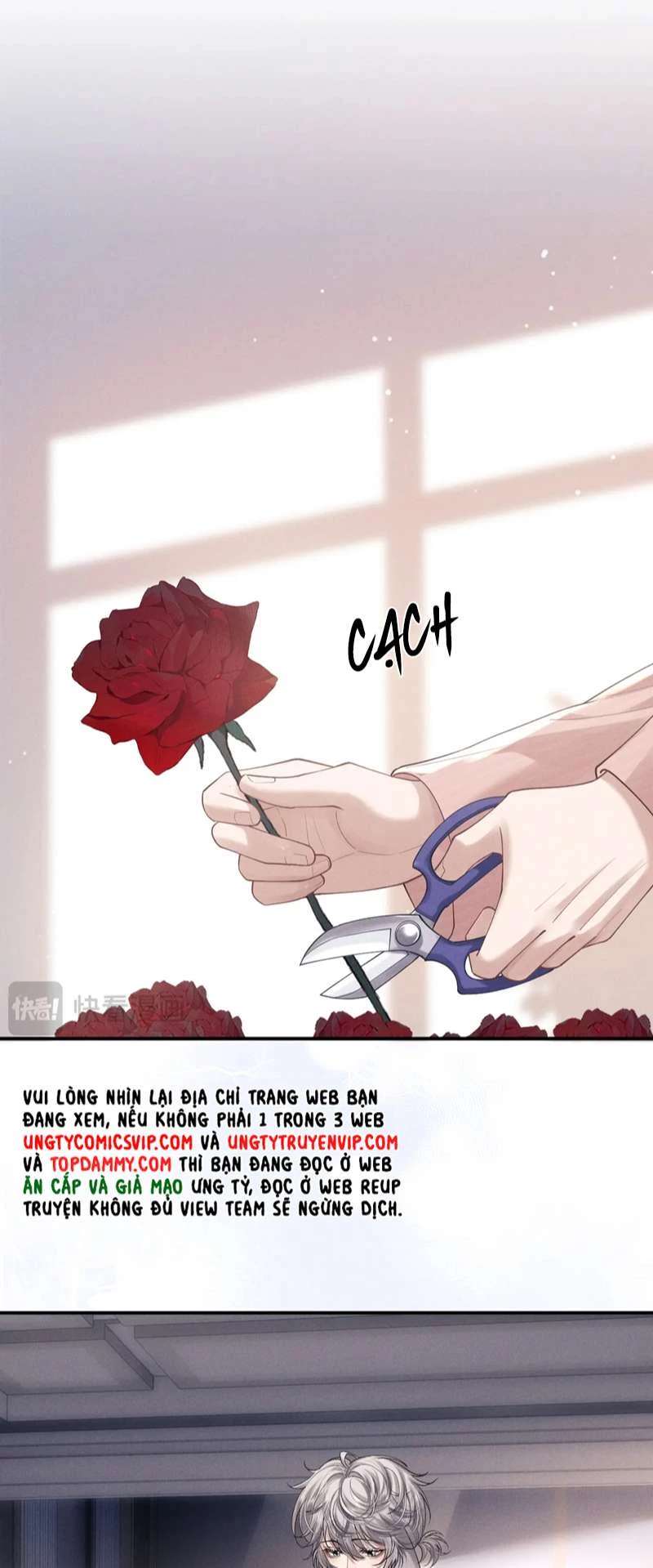 Chấp Sự Thỏ Cụp Tai Chapter 68 - 2