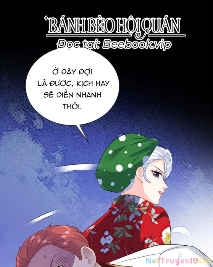 Bé Rồng Đột Kích! Mami Vừa Cay Vừa Độc Chapter 33 - 11