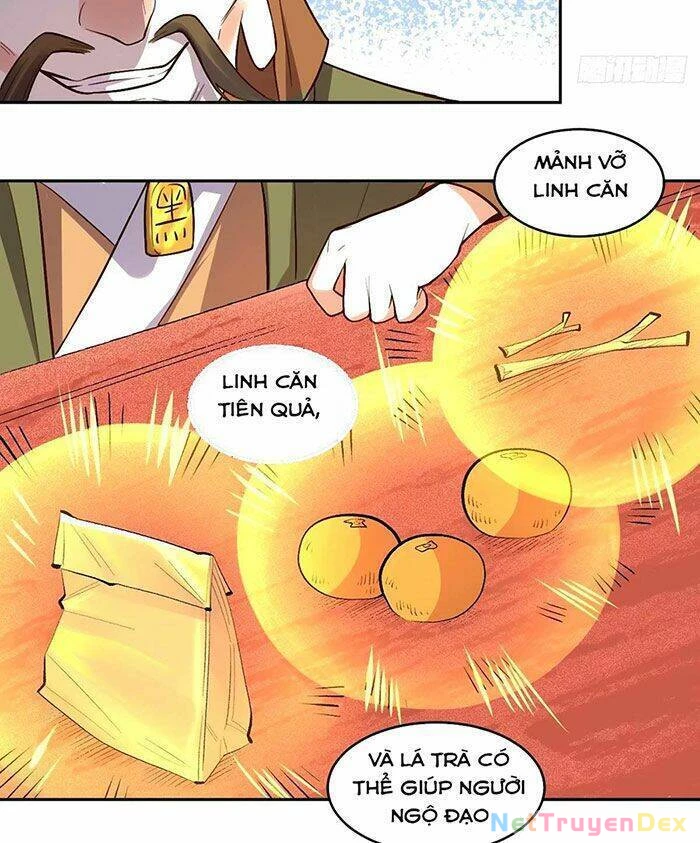 Nguyên Lai Ta Là Tu Tiên Đại Lão Chapter 248 - 50