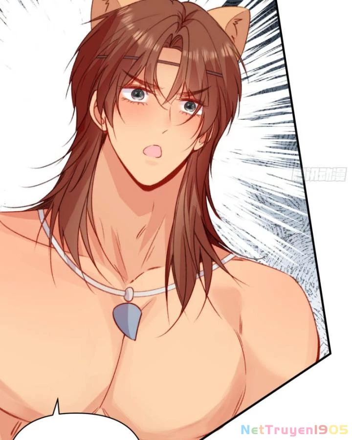 Thú Thế Ngọt Sủng, Tôi Ở Dị Giới Làm Vũ Thần Chapter 30 - 43