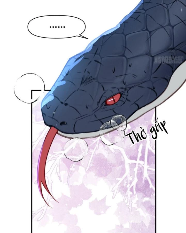 Thú Thế Ngọt Sủng, Tôi Ở Dị Giới Làm Vũ Thần Chapter 31 - 8