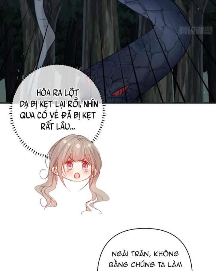 Thú Thế Ngọt Sủng, Tôi Ở Dị Giới Làm Vũ Thần Chapter 31 - 11