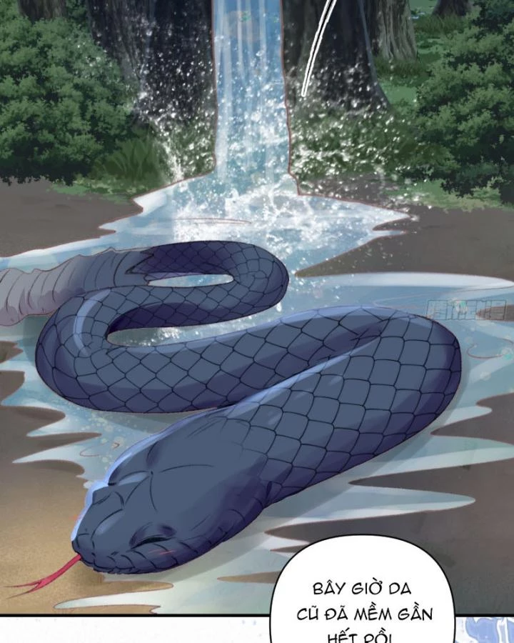 Thú Thế Ngọt Sủng, Tôi Ở Dị Giới Làm Vũ Thần Chapter 31 - 25