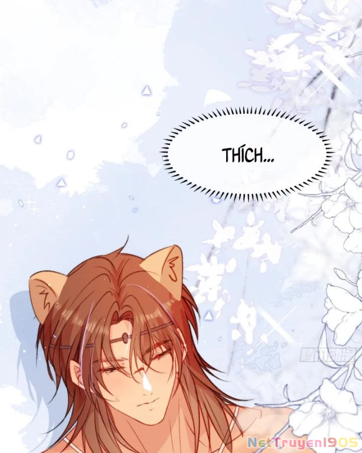 Thú Thế Ngọt Sủng, Tôi Ở Dị Giới Làm Vũ Thần Chapter 31 - 66
