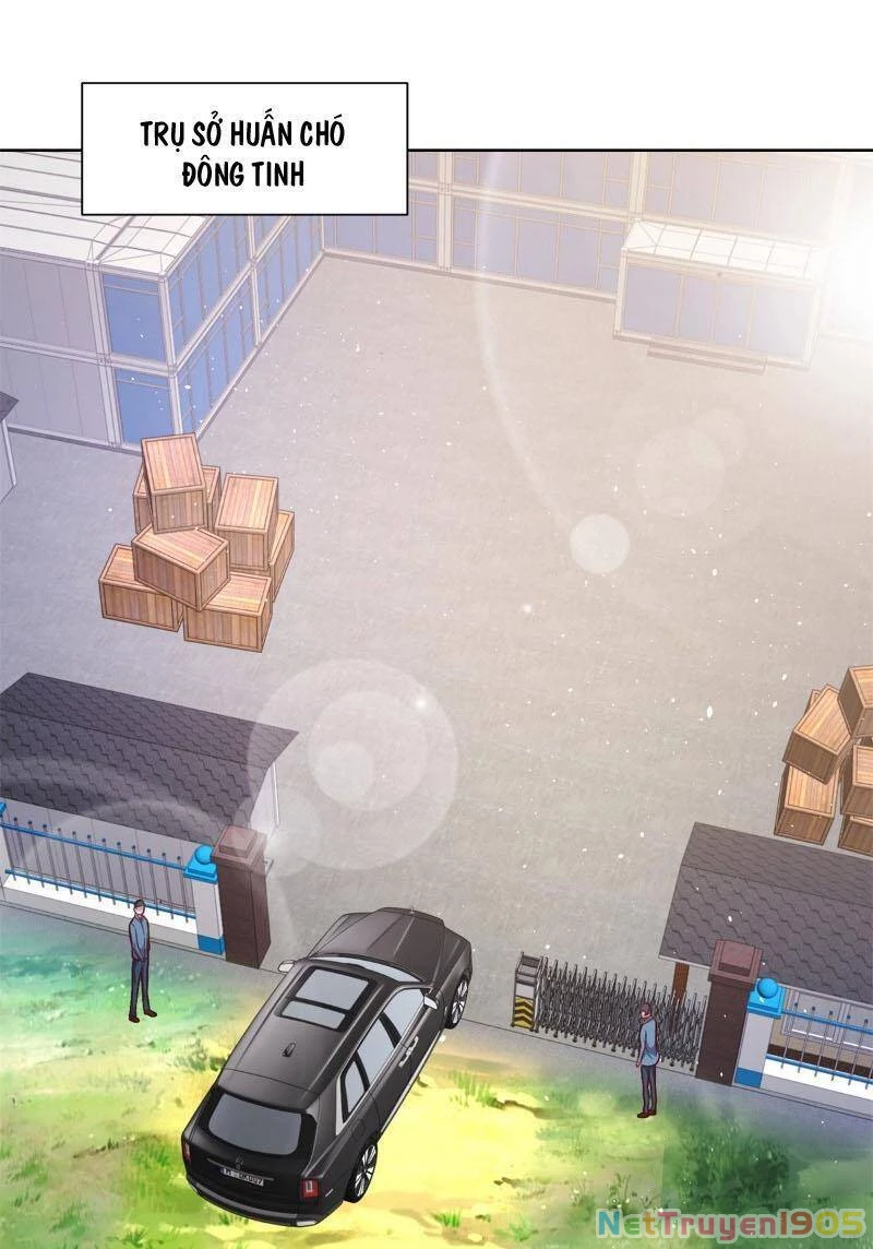 Đại Phản Diện Chapter 89 - 21