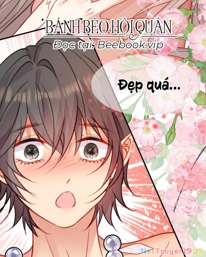 Thú Thế Ngọt Sủng, Tôi Ở Dị Giới Làm Vũ Thần Chapter 32 - 66