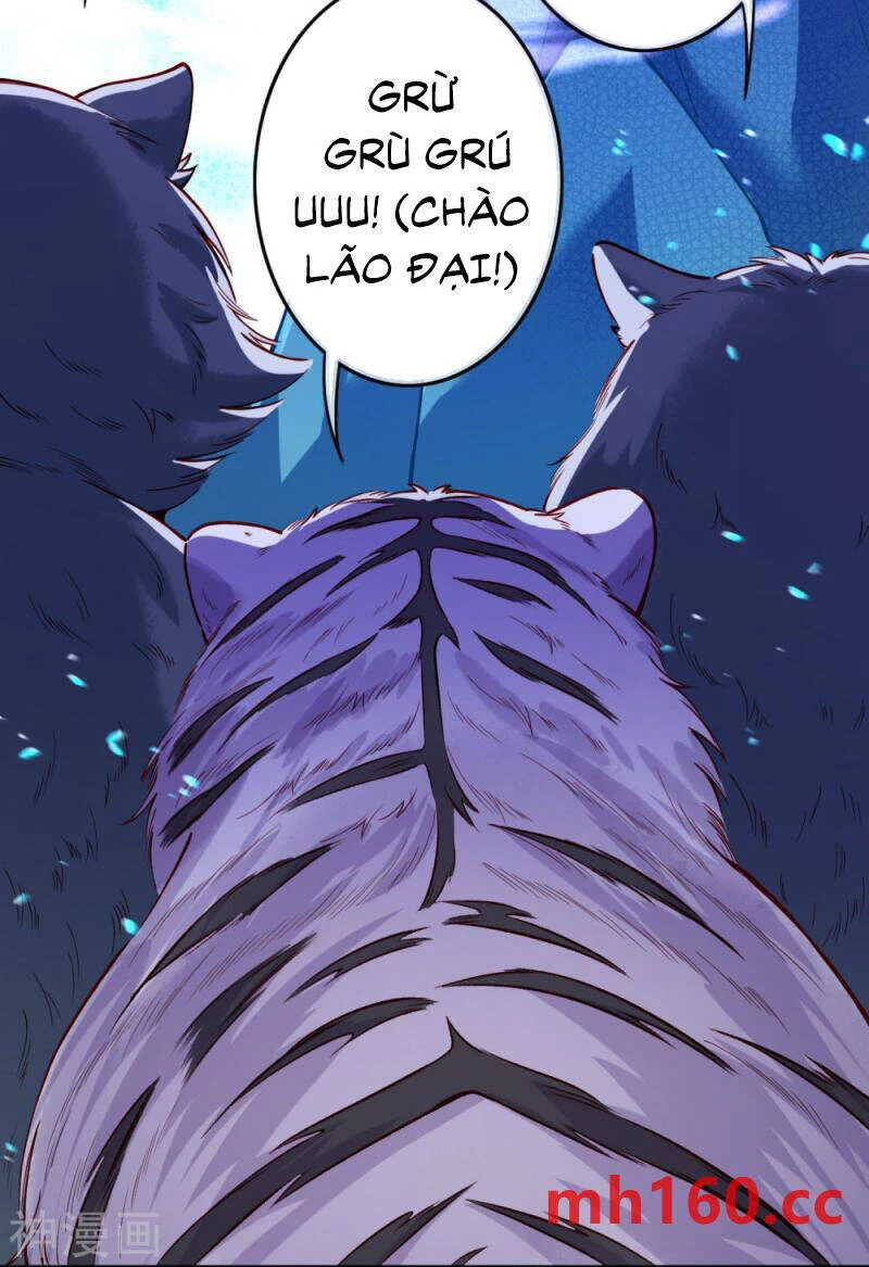 Kiếm vực vô địch Chapter 168 - 11