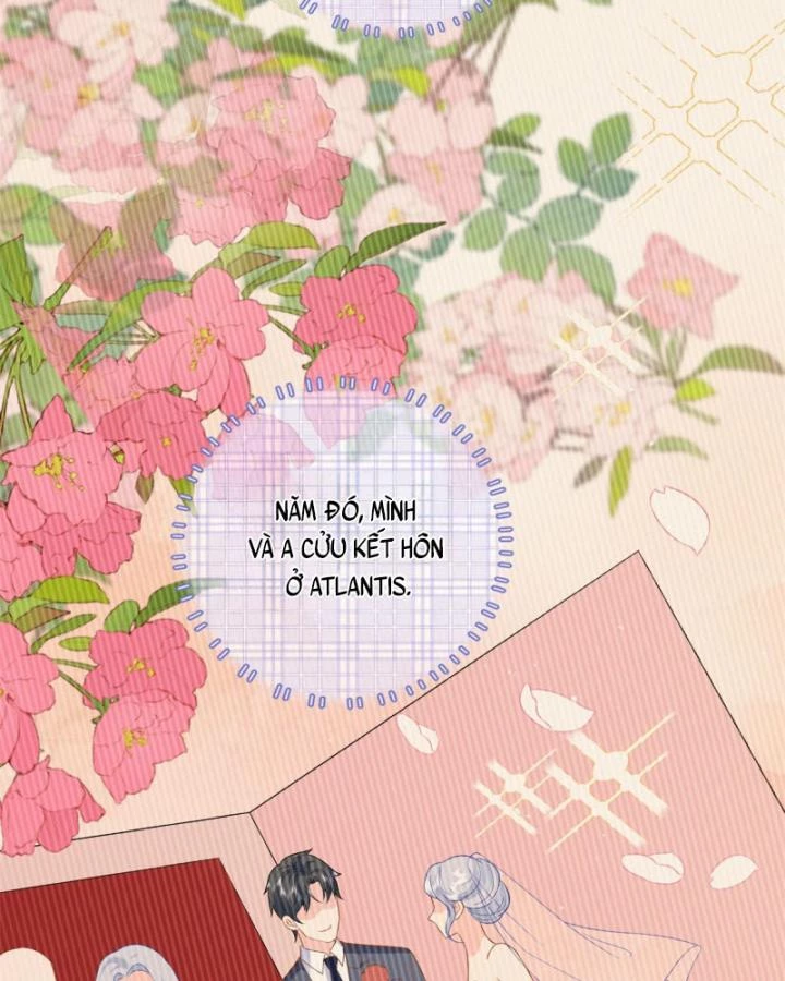 Bé Rồng Đột Kích! Mami Vừa Cay Vừa Độc Chapter 41 - 60