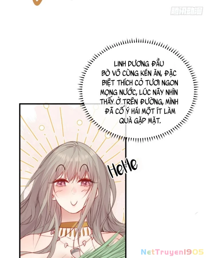 Thú Thế Ngọt Sủng, Tôi Ở Dị Giới Làm Vũ Thần Chapter 35 - 14