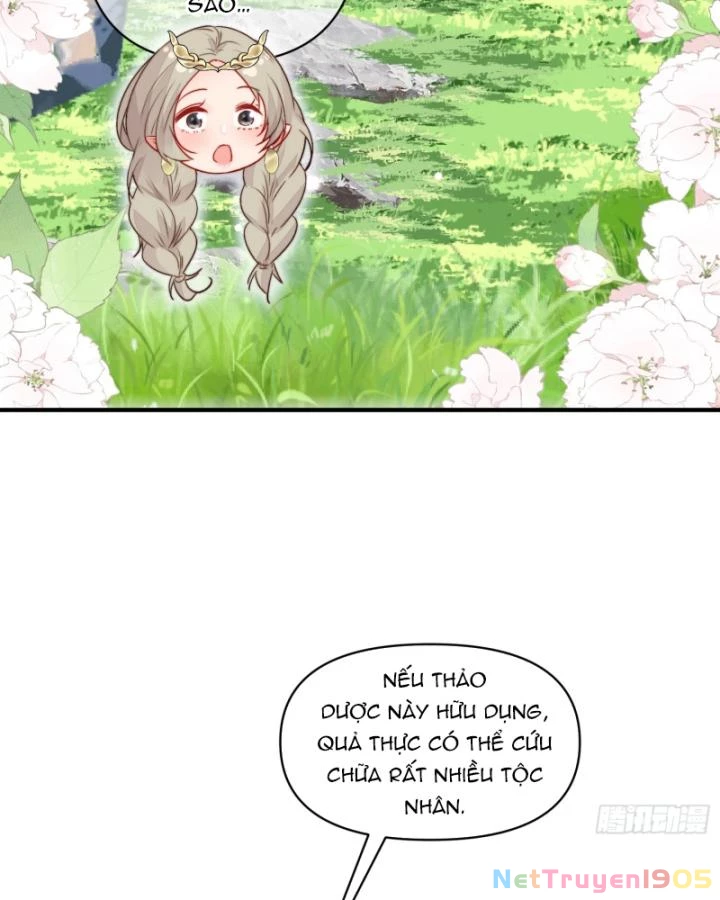 Thú Thế Ngọt Sủng, Tôi Ở Dị Giới Làm Vũ Thần Chapter 36 - 52