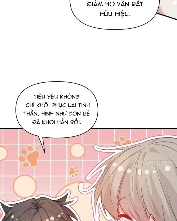 Thú Thế Ngọt Sủng, Tôi Ở Dị Giới Làm Vũ Thần Chapter 37 - 36