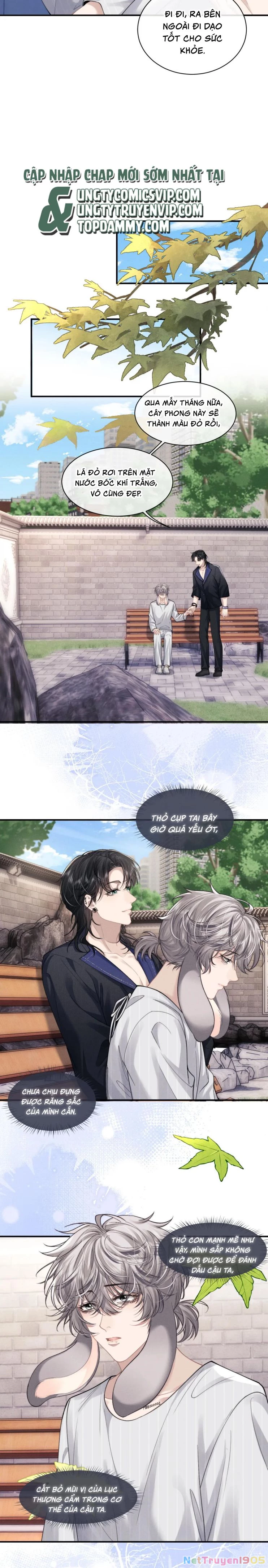 Chấp Sự Thỏ Cụp Tai Chapter 72 - 6