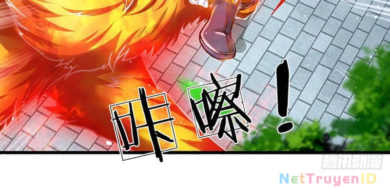 Bắt Đầu Với Chí Tôn Đan Điền Chapter 20 - 7