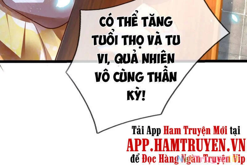 Bắt Đầu Với Chí Tôn Đan Điền Chapter 65 - 2